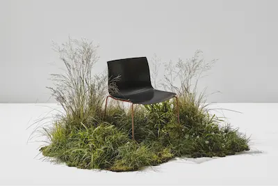 Catifa Carta - Arper