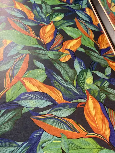 Inspiración Explosión de color